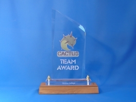 Cactus Team Award