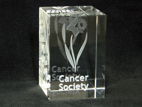 3d Cancer Society Logo