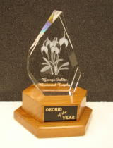 George Fuller Memorial Trophy for Orchid of the Year
