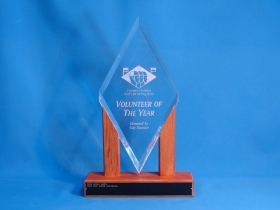 Volunteer of the Year trophy for Western Districts Surf Life Saving Association
