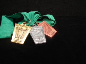 Swimming Manawatu Age Group Medals