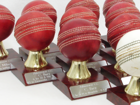 Palmerston Cricket Club awards for 2020-21