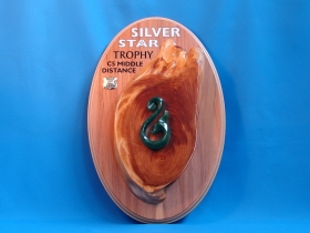 Silver Star Trophy