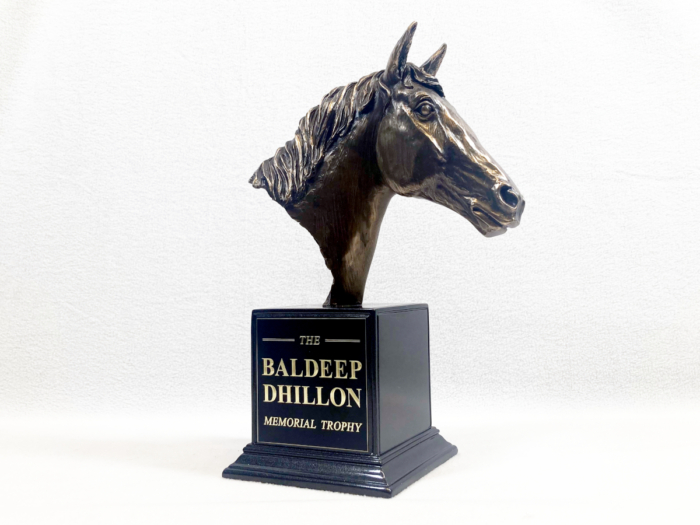 Resin Horse Head Trophy