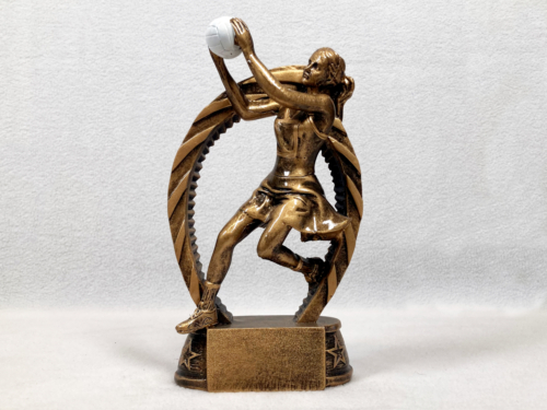 Resin Netball Catch Trophy