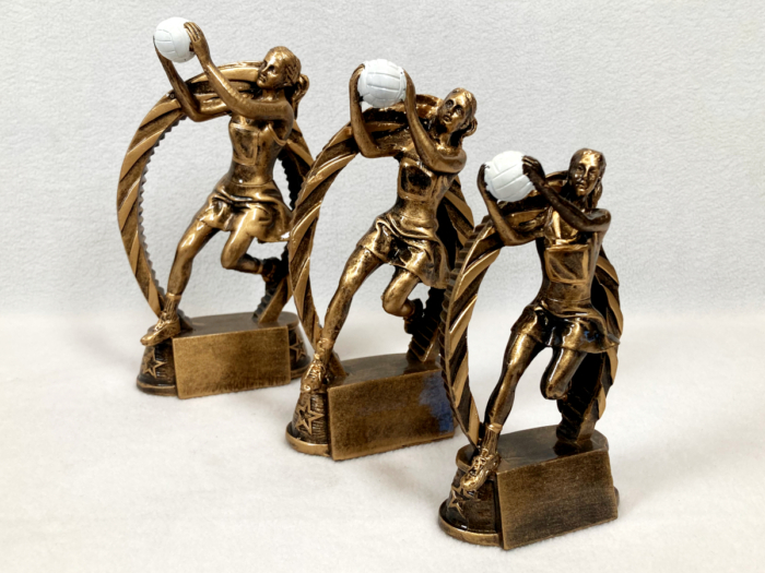 Resin Netball Catch Trophy
