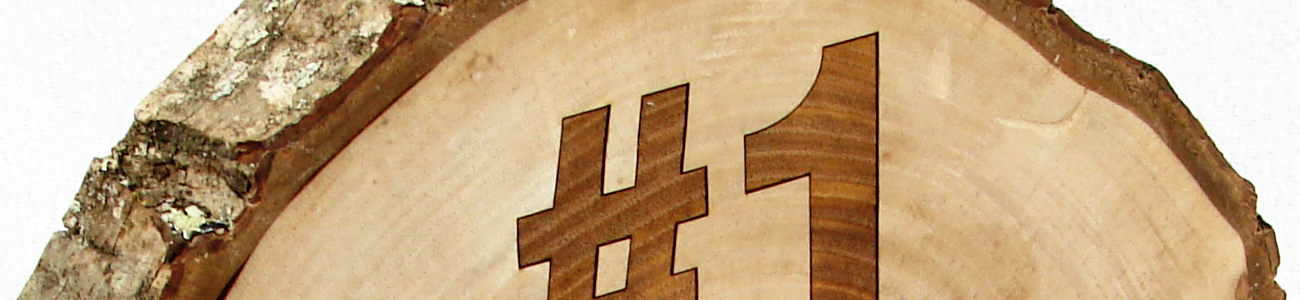 Laser Engraved Wood slice #1