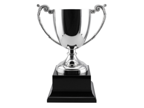 Engravable Seaton Cup