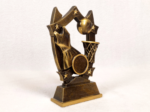 Photo of Resin Netball All Stars Award