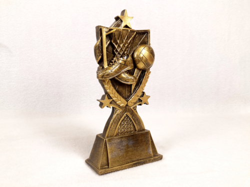 Resin Netball Trophy