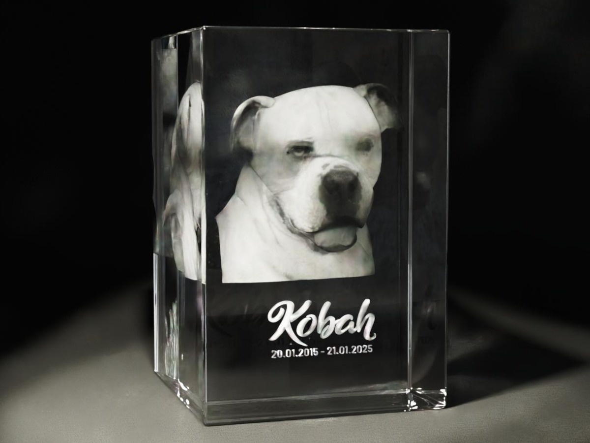 Kobah modelled in 3d and sub surface laser engraved inside a crystal block