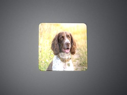 Photo of Resin Domed Photo of a Dog
