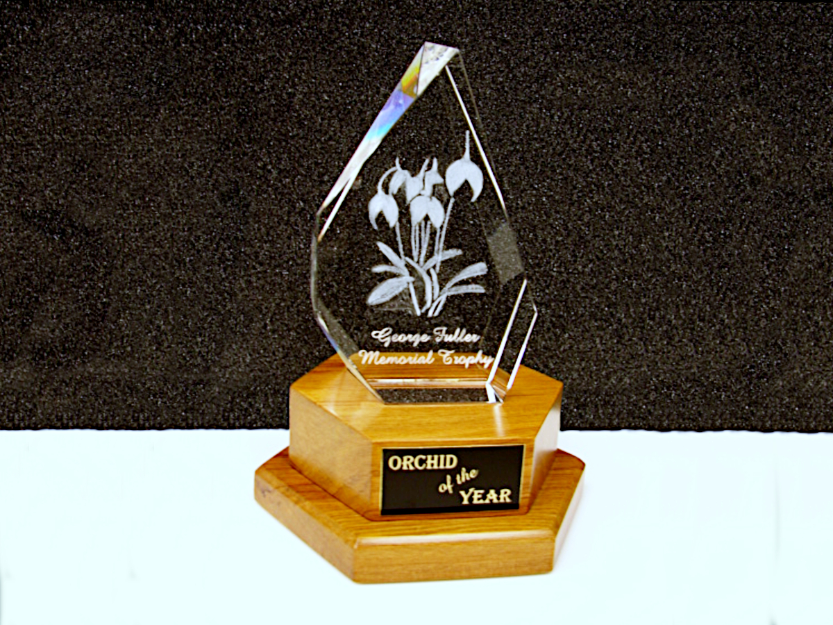 George Fuller Memorial Trophy for Orchid of the Year Photo of George Fuller Memorial Trophy for Orchid of the Year